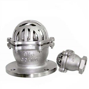 ステンレス鋼のフットバルブ